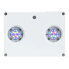 HYDRA THIRTYTWO HD 2