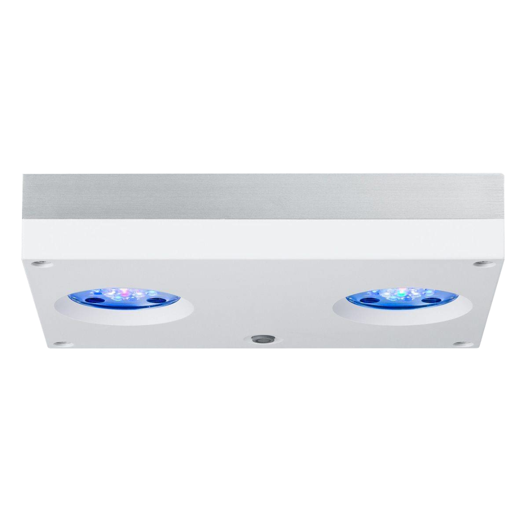 HYDRA THIRTYTWO HD 4
