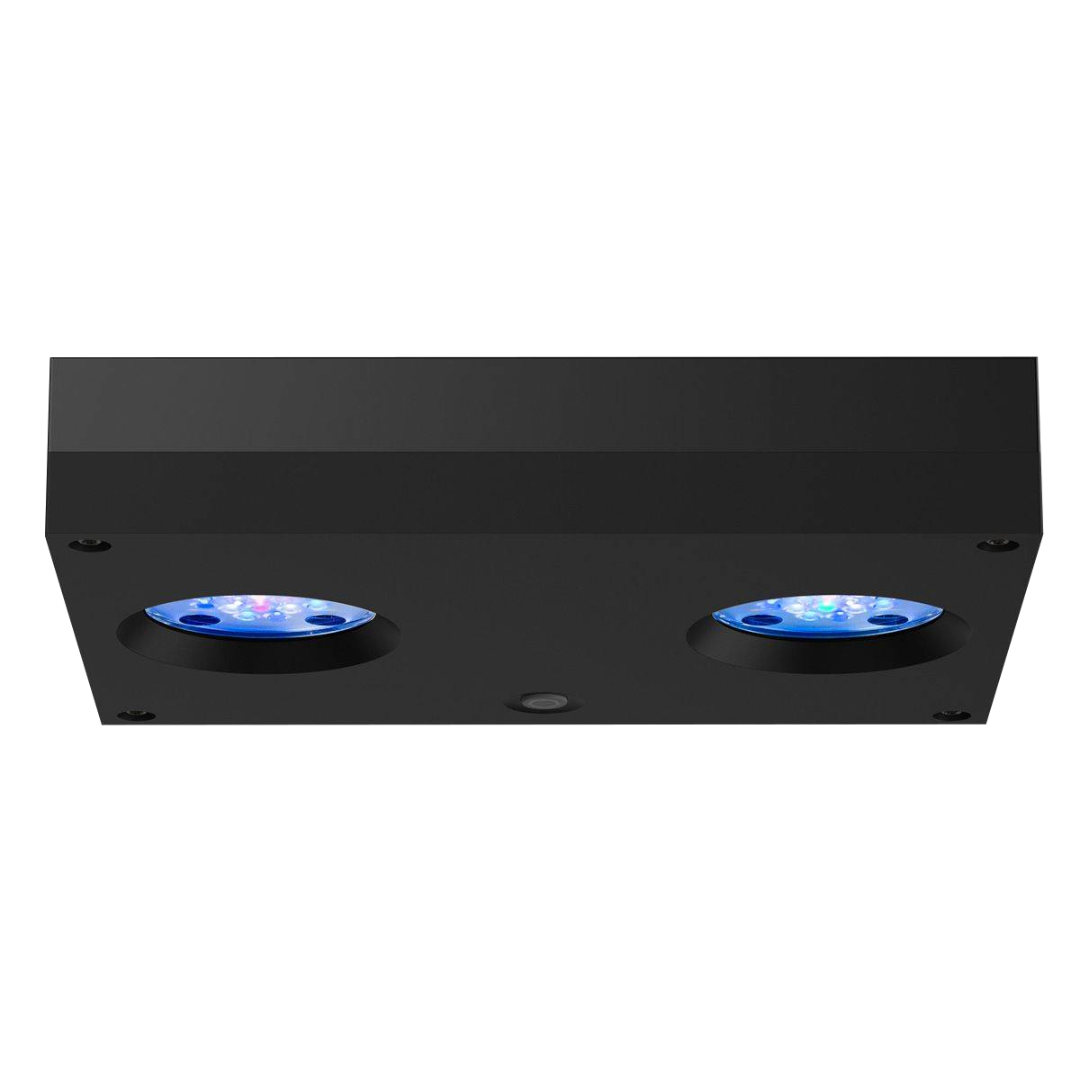 HYDRA THIRTYTWO HD 5