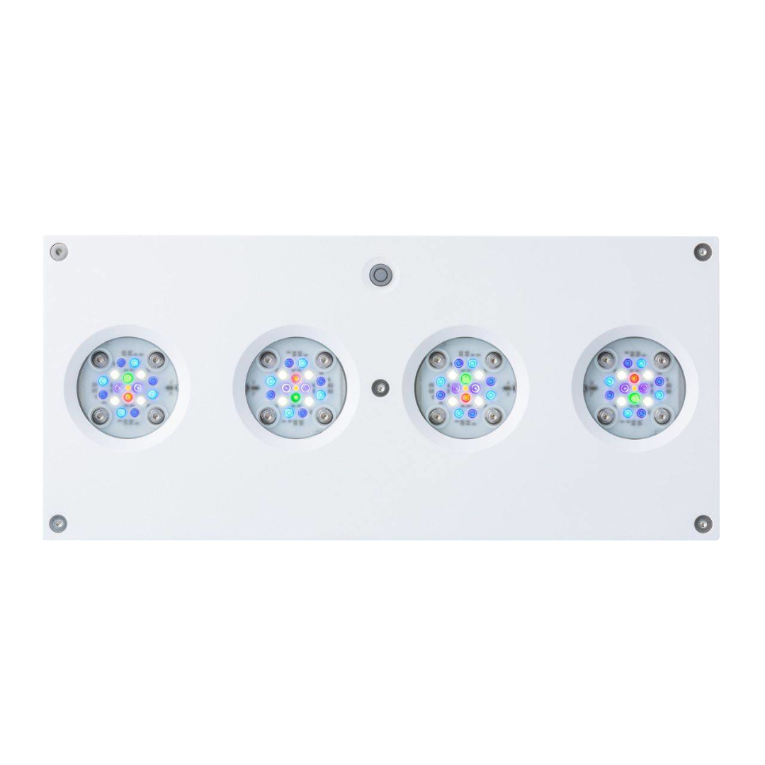 HYDRA SIXTYFOUR HD 2