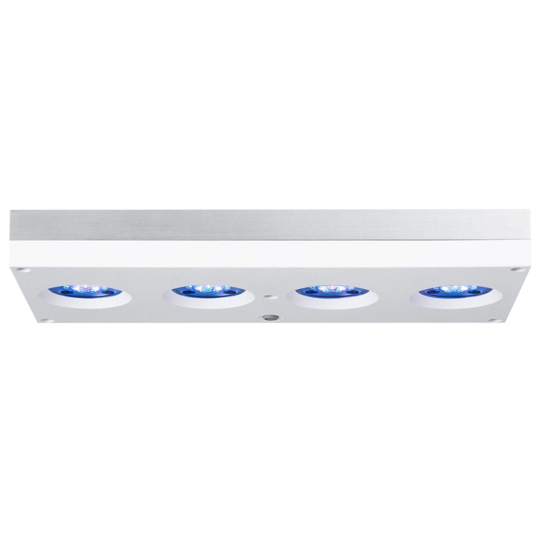 HYDRA SIXTYFOUR HD 4