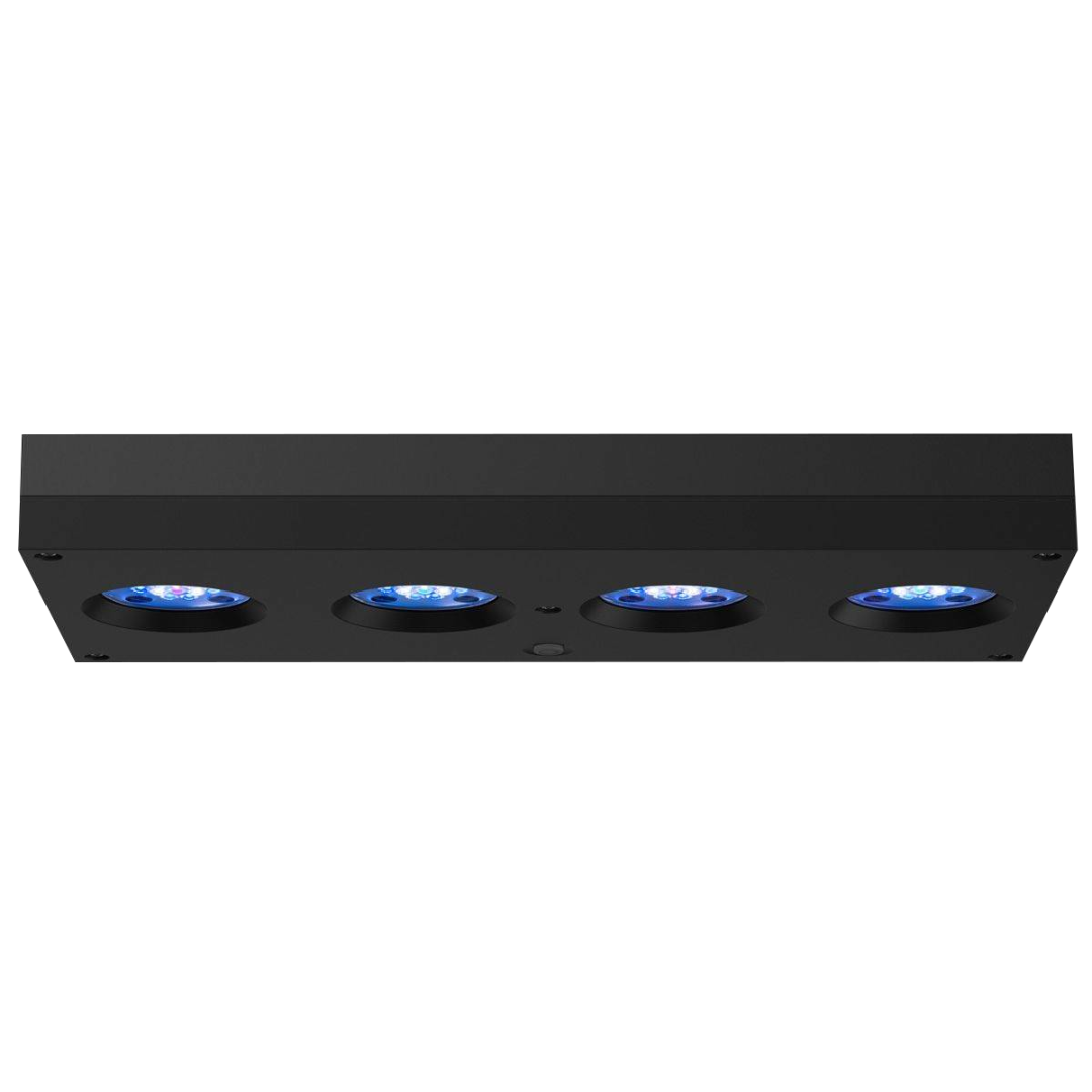 HYDRA SIXTYFOUR HD 5