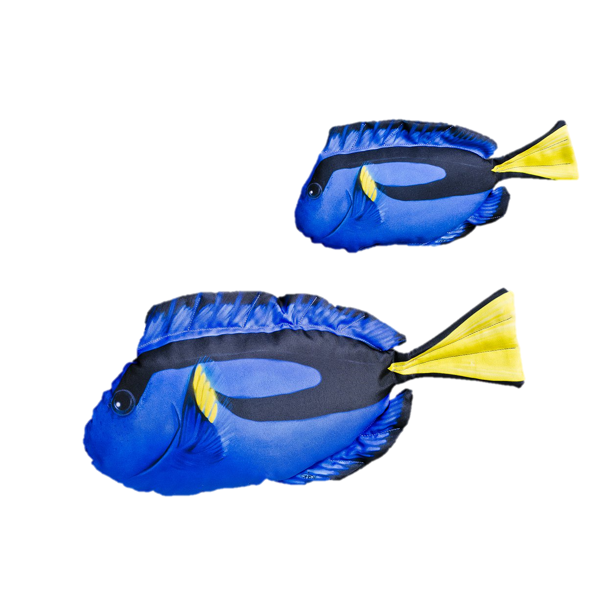 Almofada Hepatus/Dory