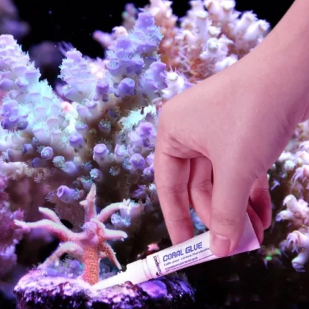 Maxspect Coral Glue Stick 2