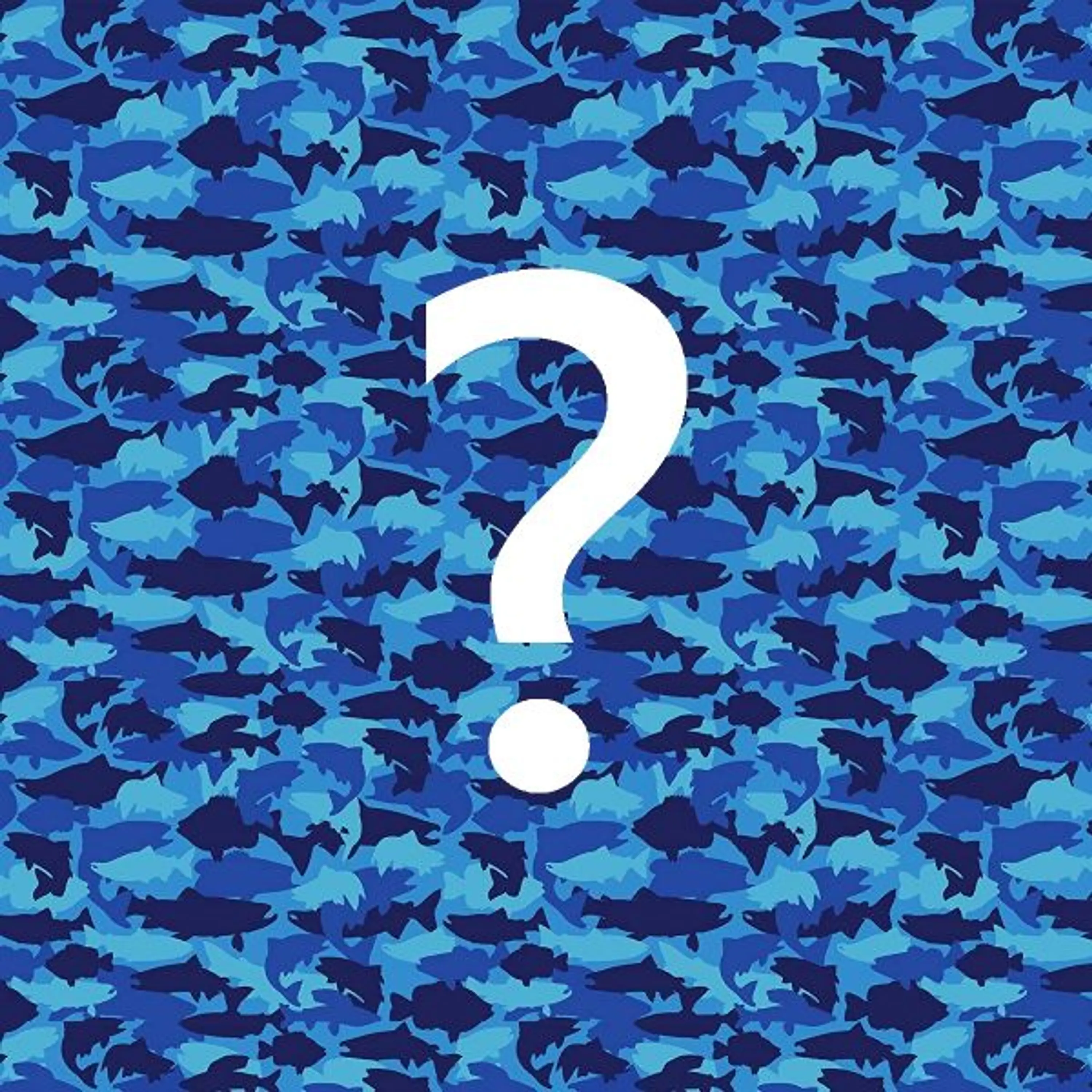 Mimetismo e Camuflagem