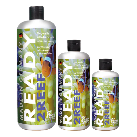 Fauna Marin Ready 2Reef