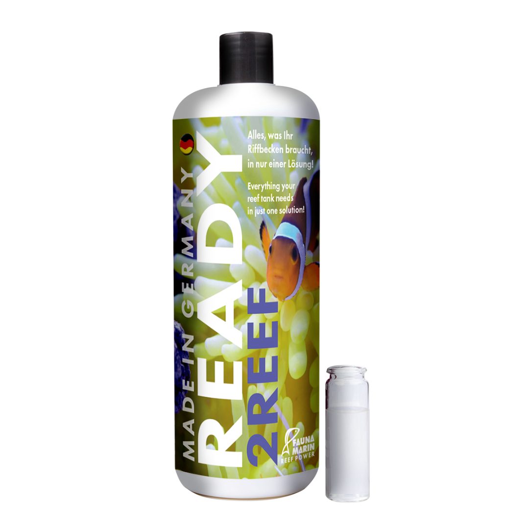 Fauna Marin Ready 2Reef 2