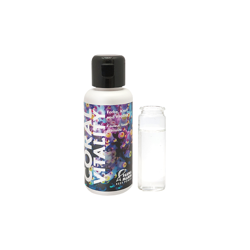 Fauna Marin Coral Vitality