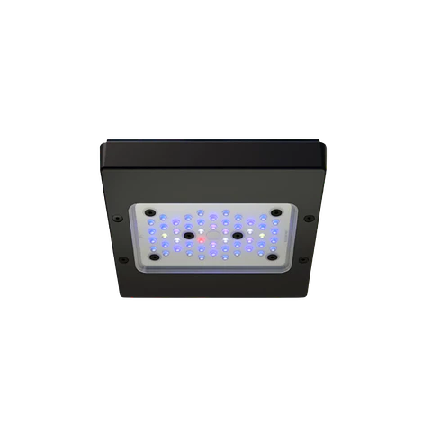 Ecotech Marine Radion G6