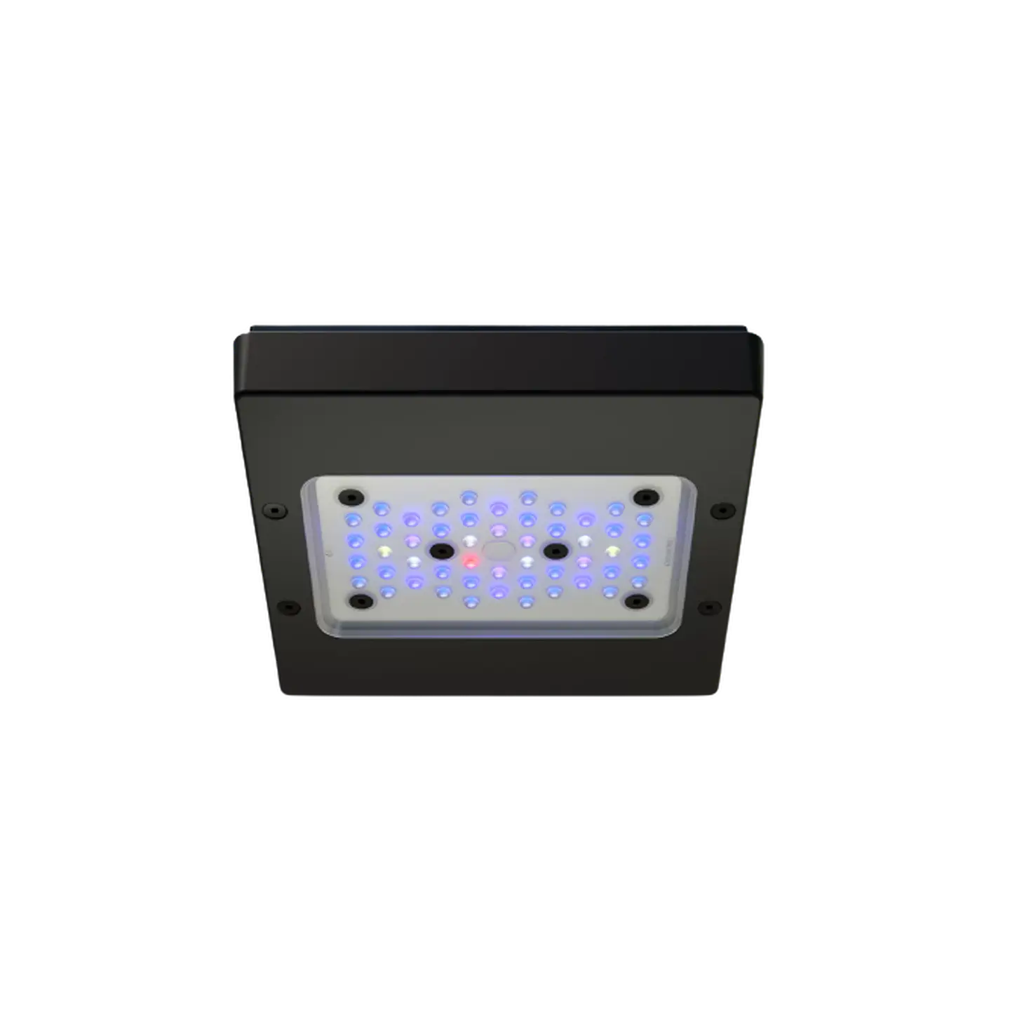 Ecotech Marine Radion G6 1