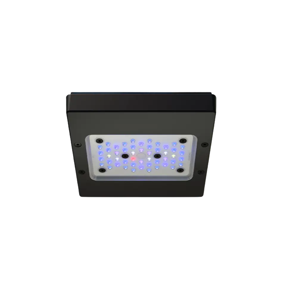 Ecotech Marine Radion G6 1