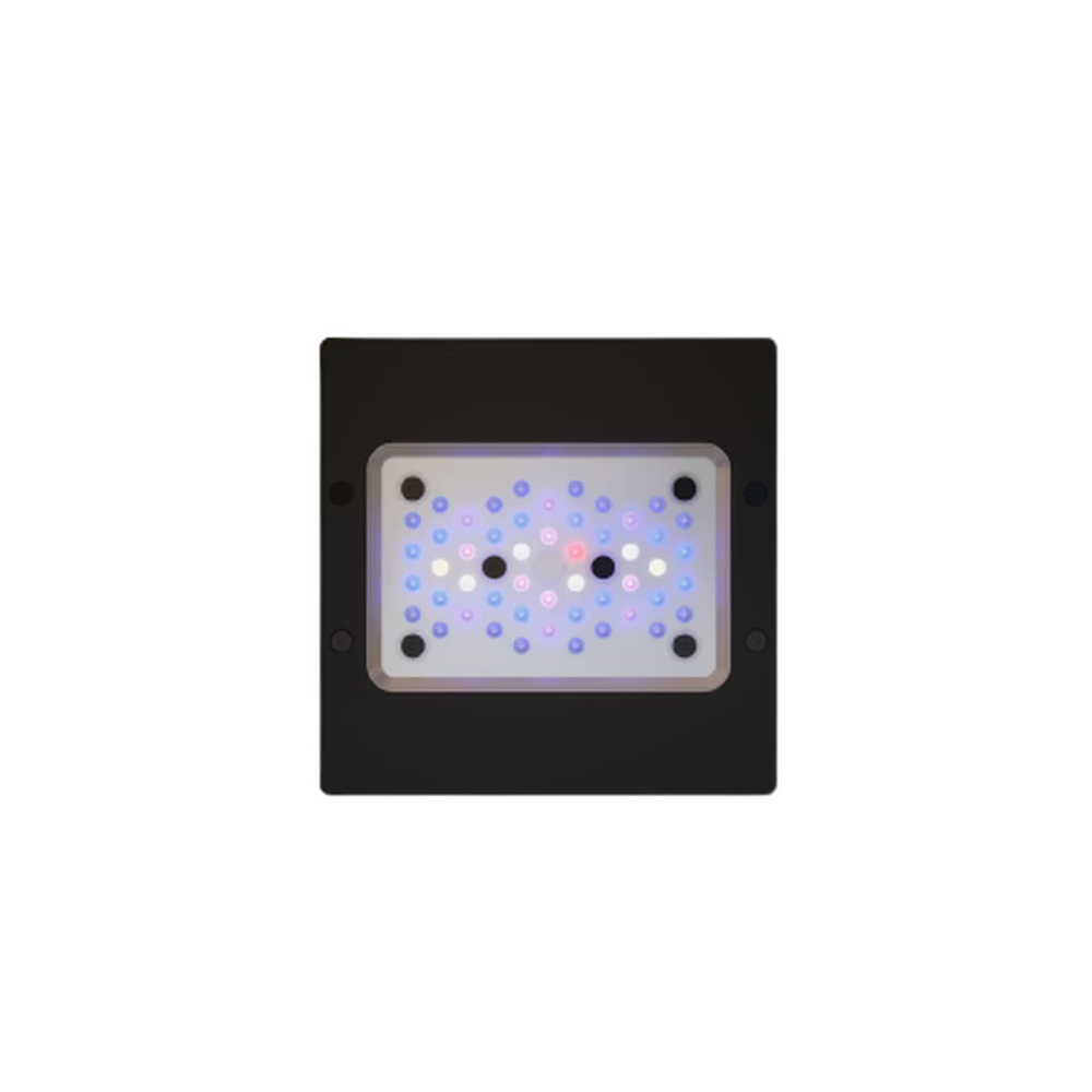 Ecotech Marine Radion G6 2