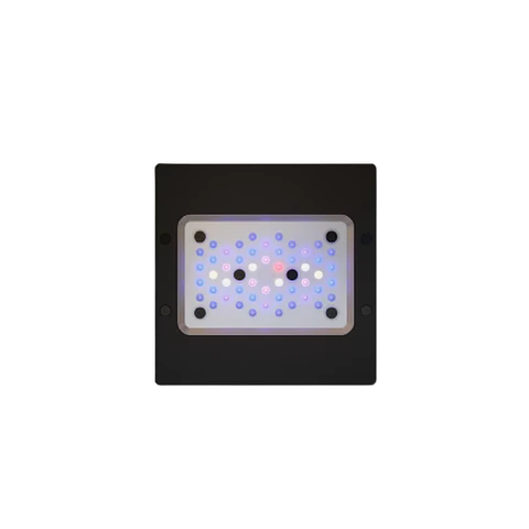 Ecotech Marine Radion G6