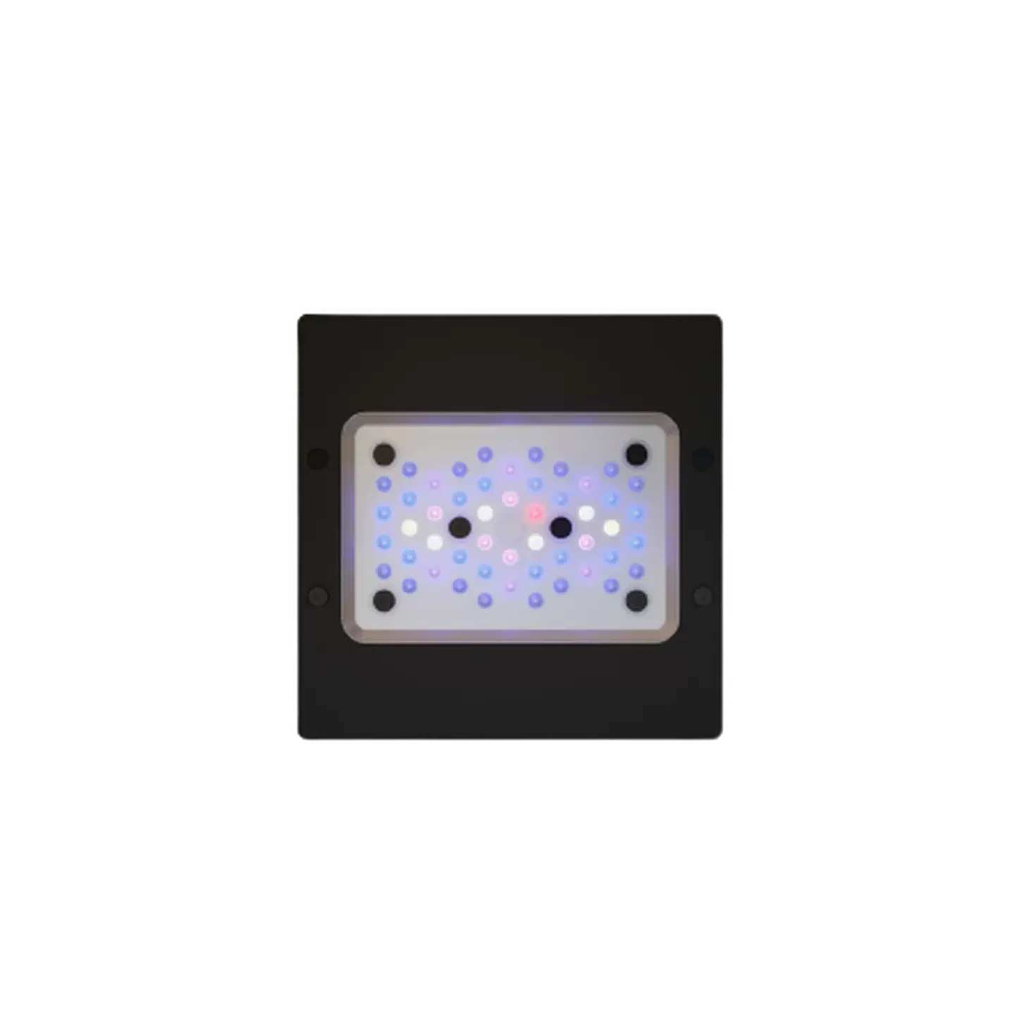 Ecotech Marine Radion G6 2