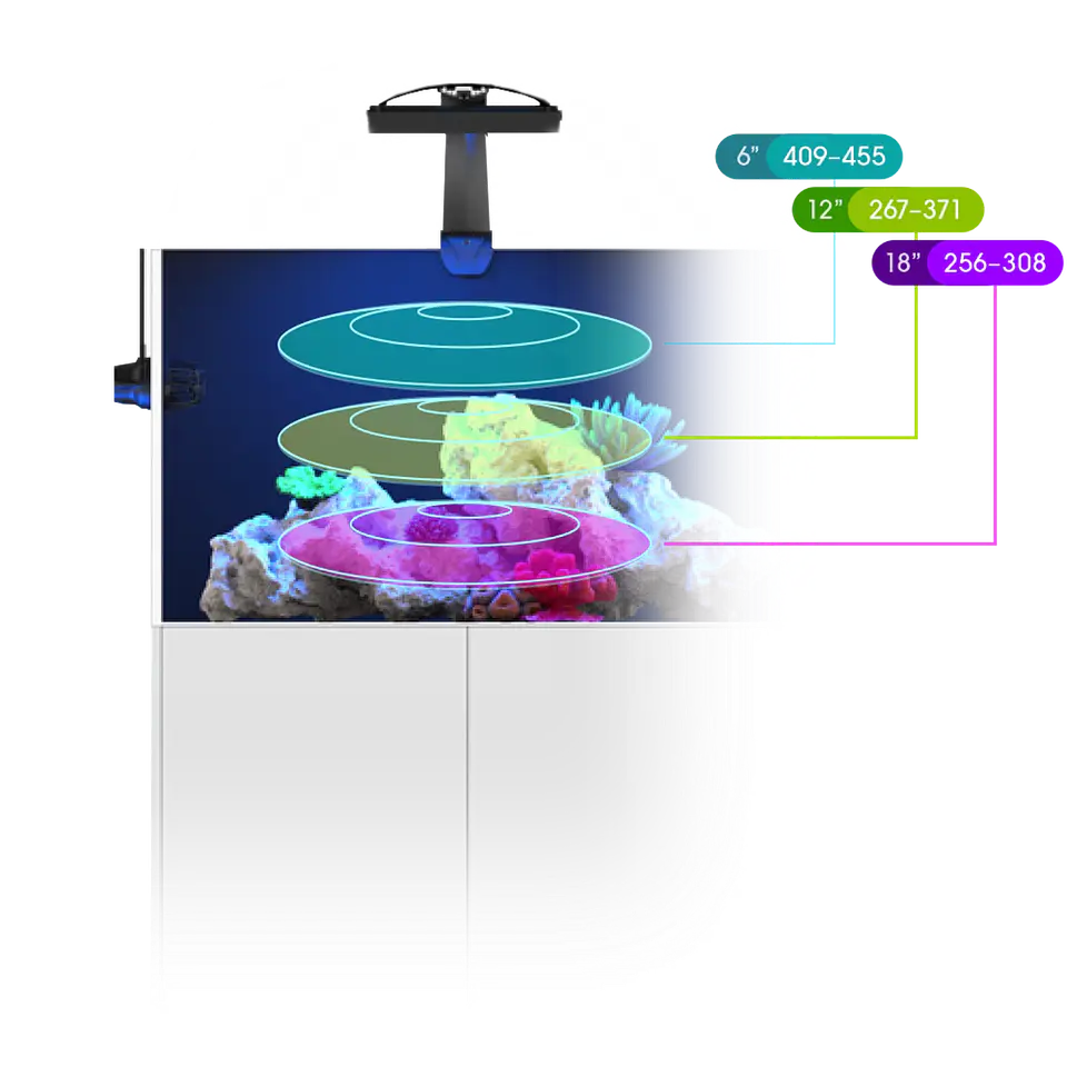 Ecotech Marine Radion G6 9