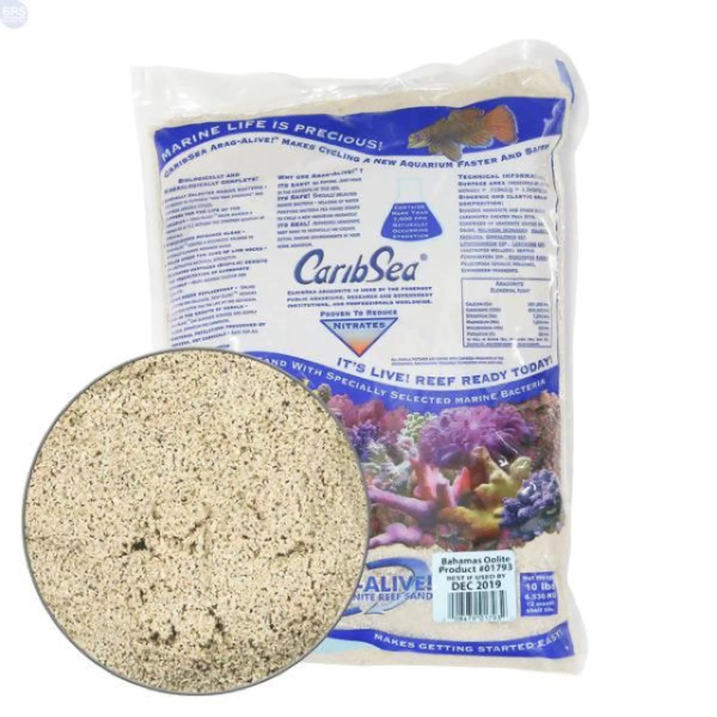 BAHAMAS OOLITE