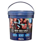 Red Sea Sea Salt - Thumbnail 1