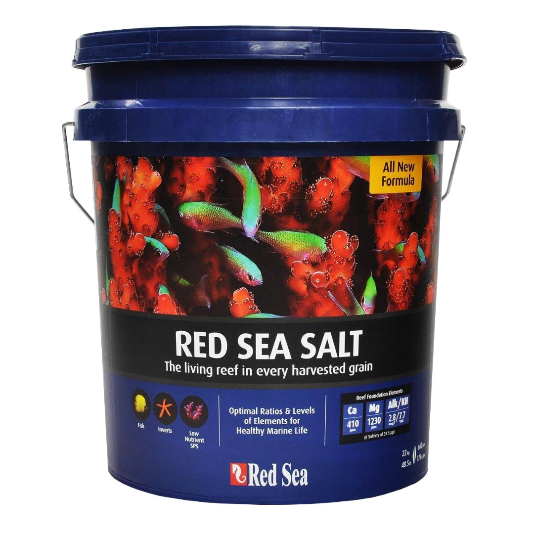 Red Sea Sea Salt 2