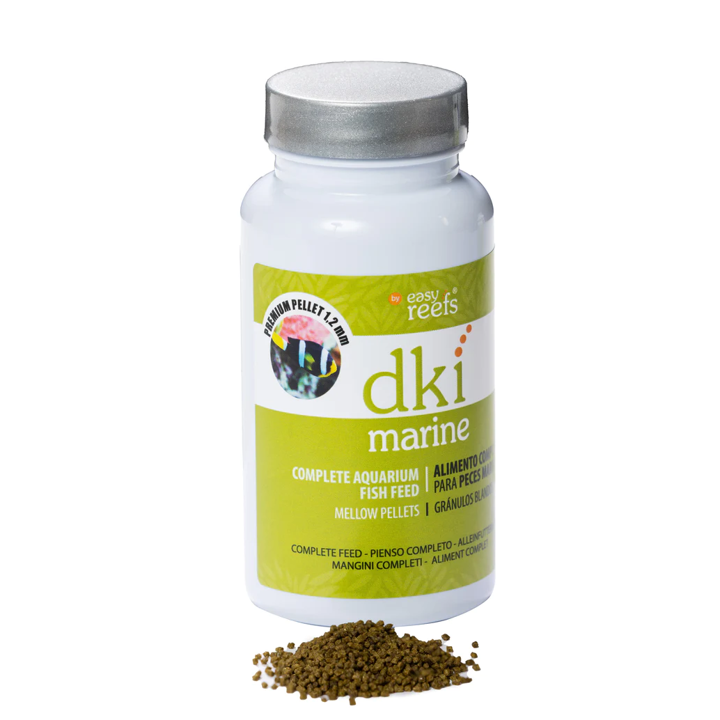 dki Marine