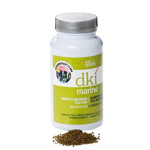 dki Marine