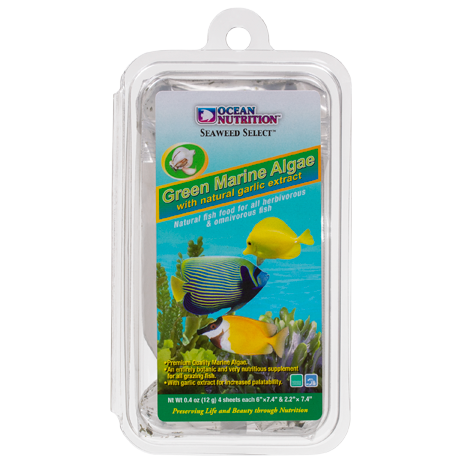 GREEN MARINE ALGAE 1