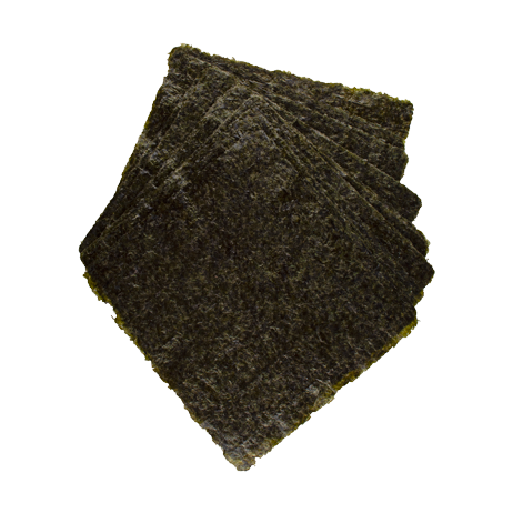 GREEN MARINE ALGAE 2