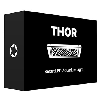 Micmol Thor 60w 1