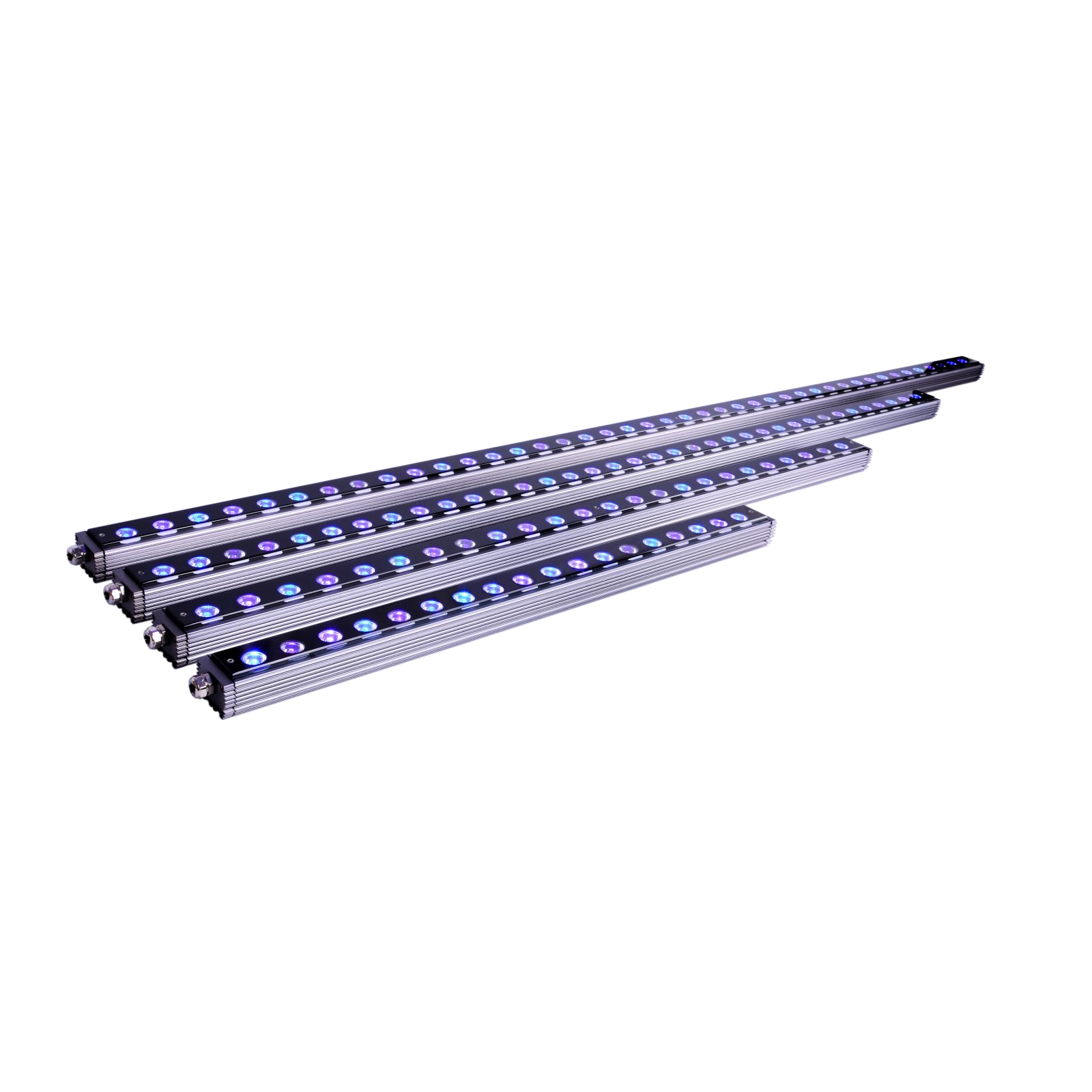 OR3 Blue Plus 1