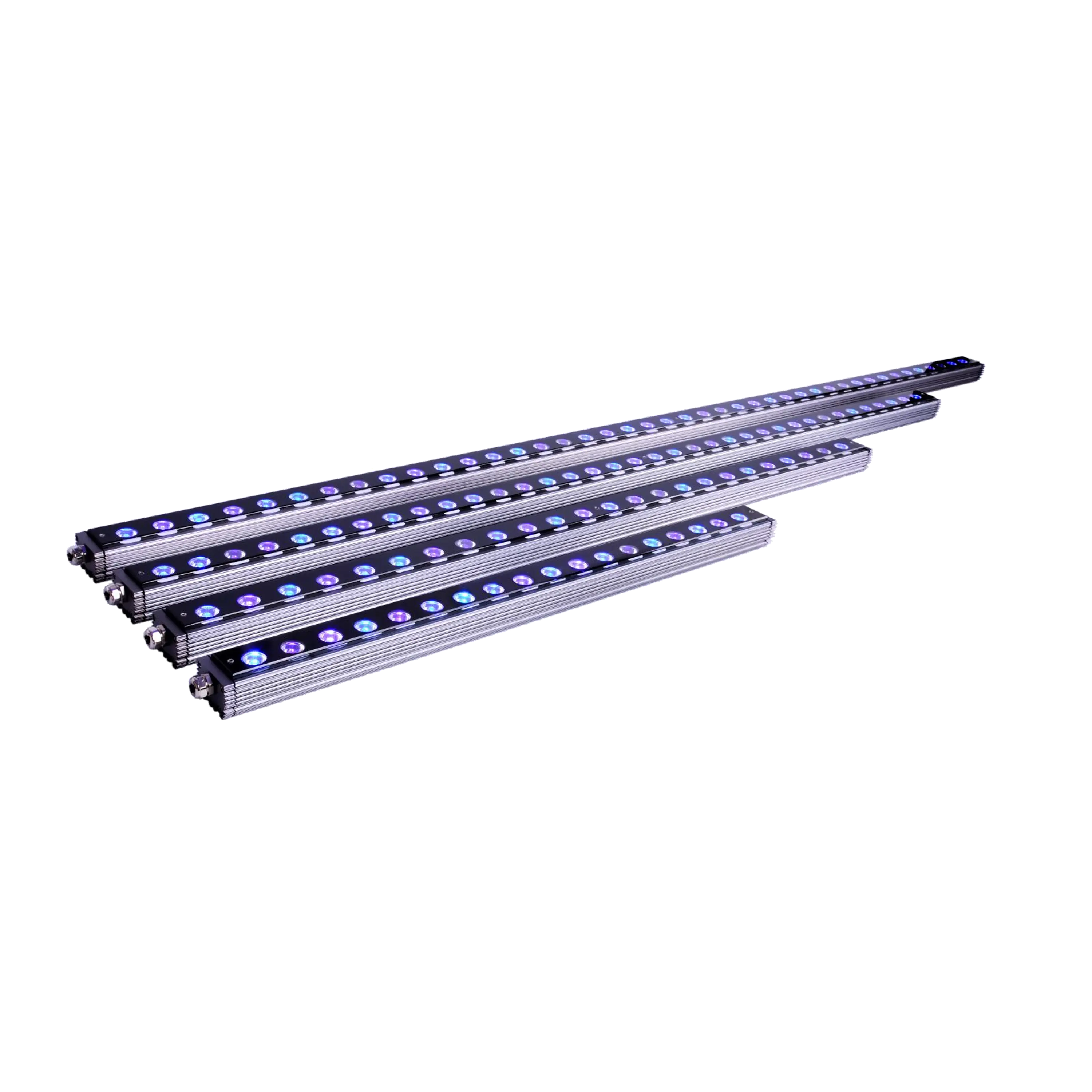 OR3 Blue Plus