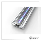 SilverMoon Actinic 1
