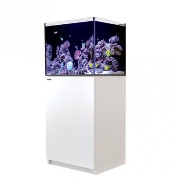 REEFER SYSTEMS 170 2