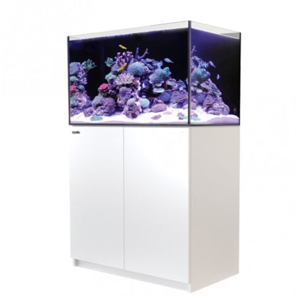 REEFER SYSTEMS 250 2