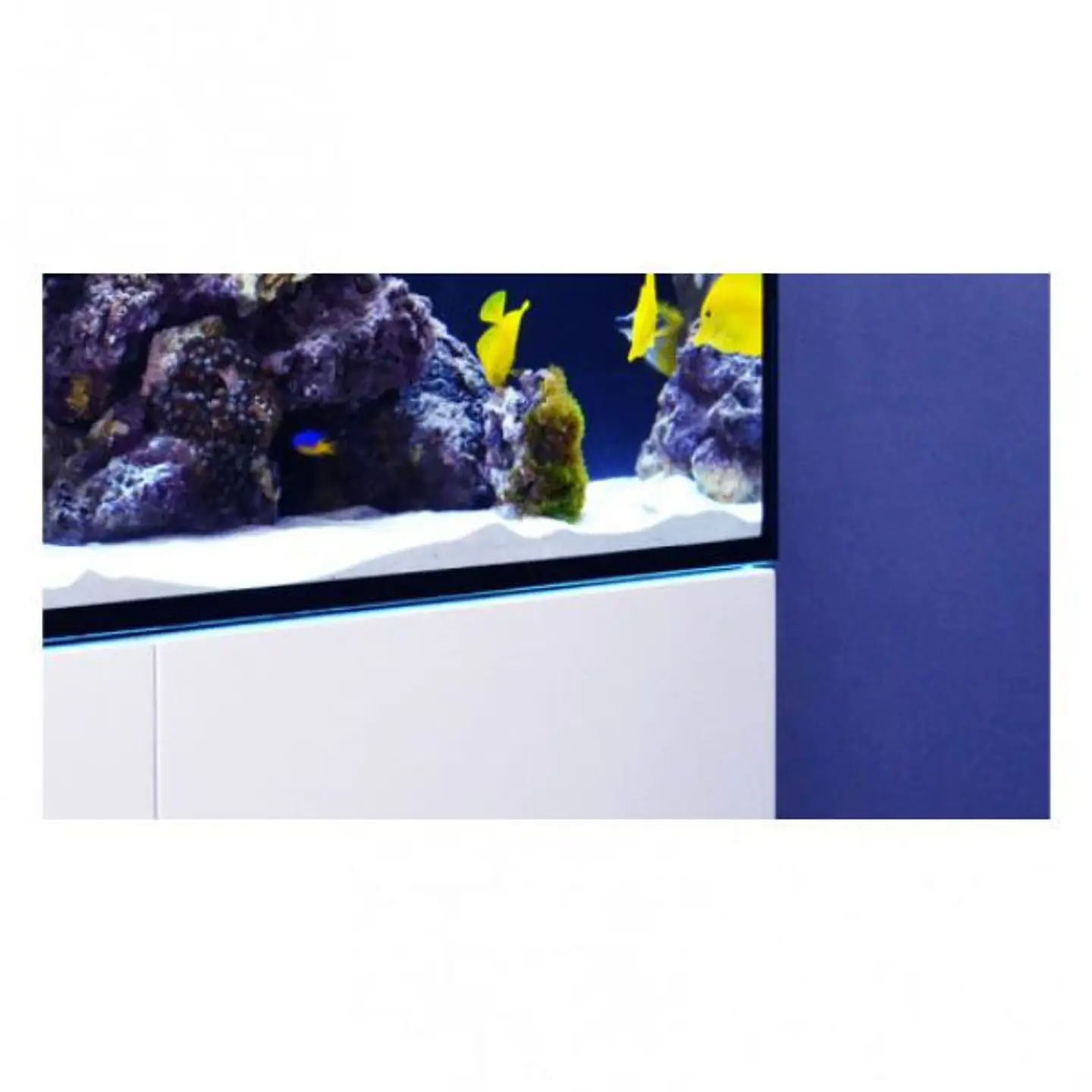 REEFER SYSTEMS 250 4