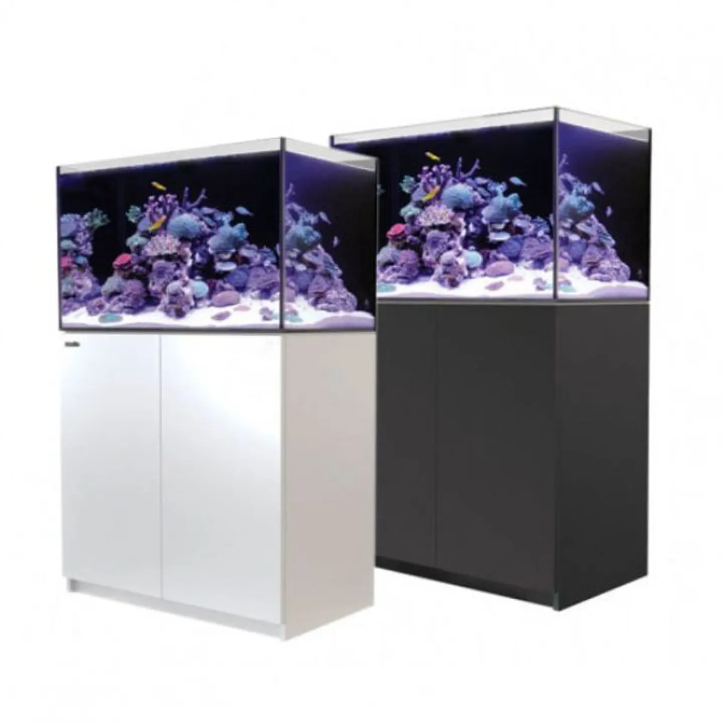 REEFER SYSTEMS 250 5