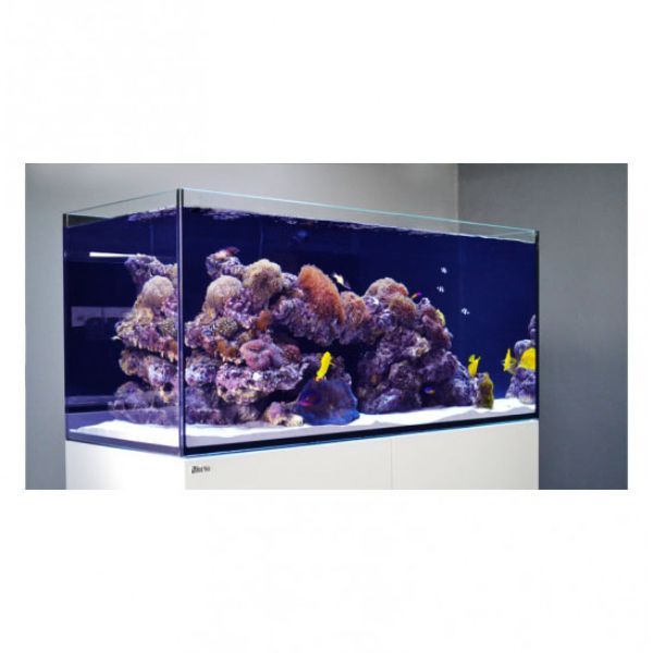 REEFER SYSTEMS 250 6