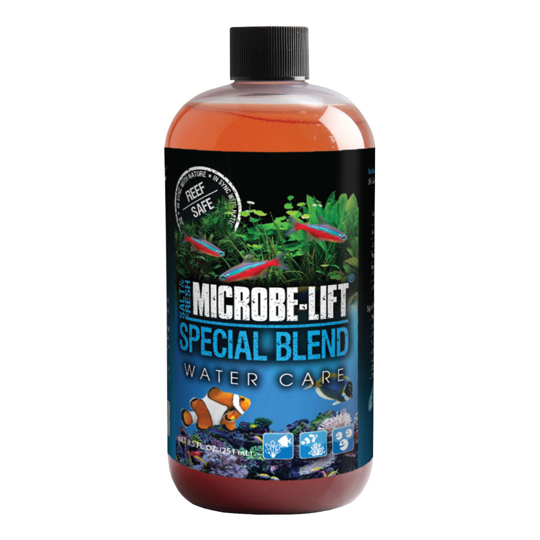 Special Blend 3