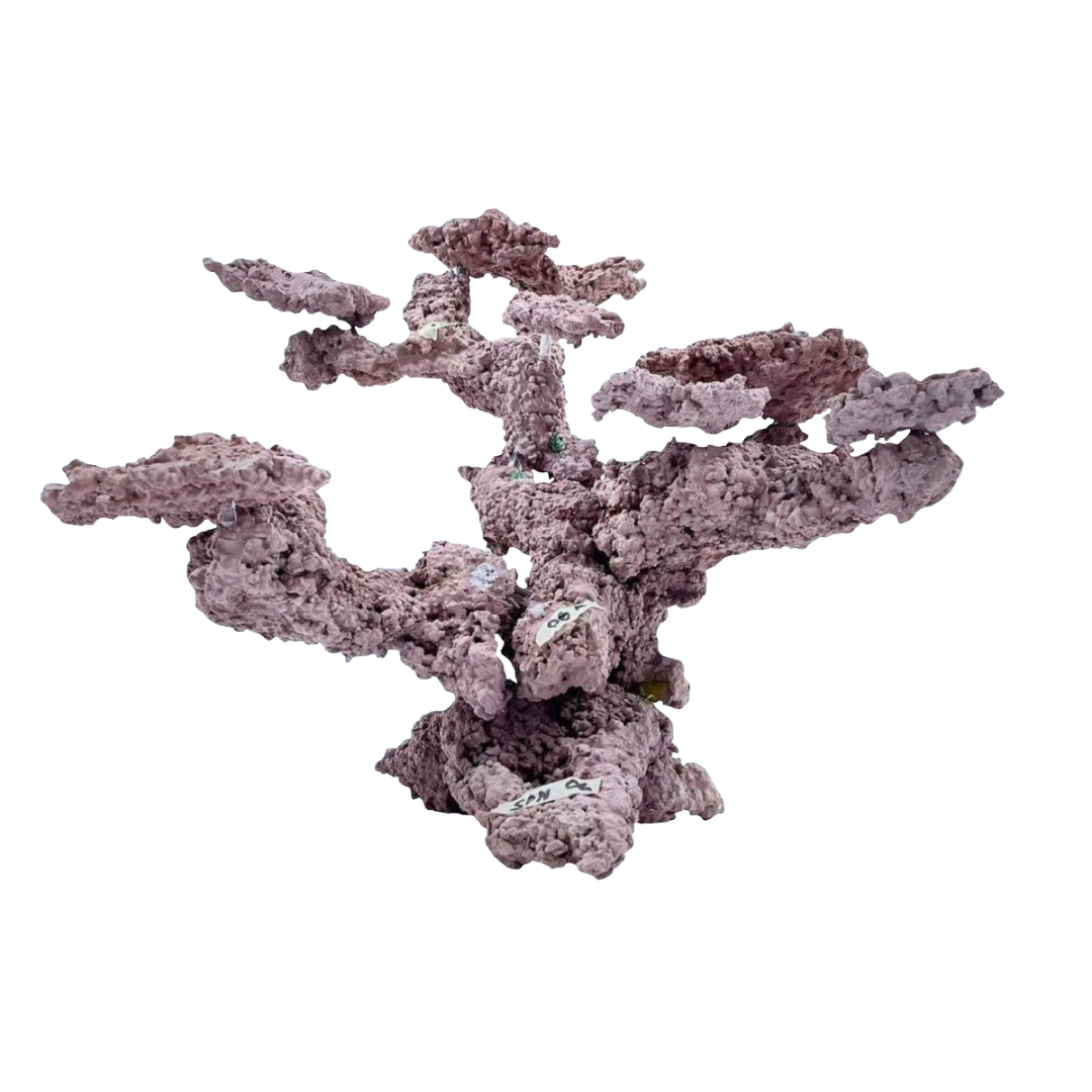 Art Reef Rocks 2