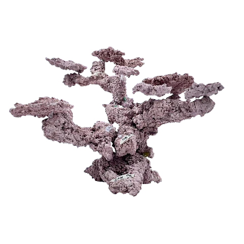 Art Reef Rocks