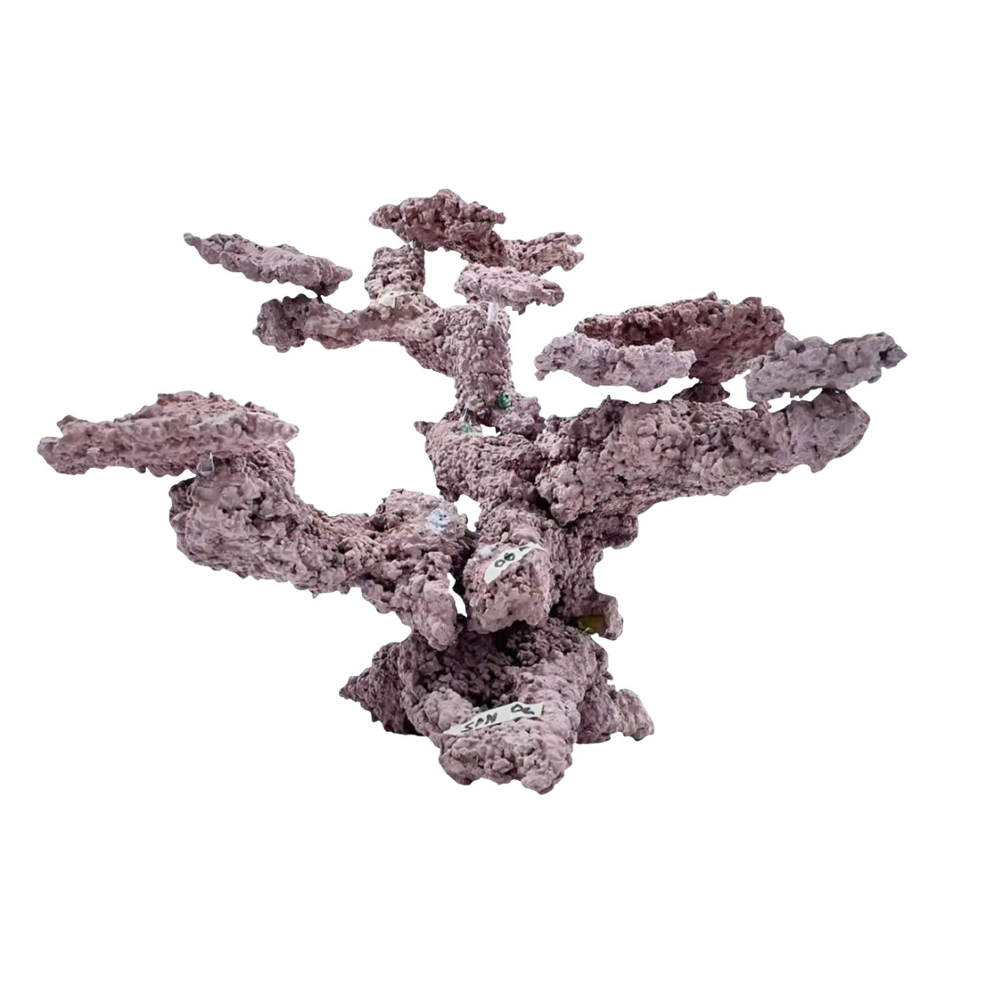 Art Reef Rocks 2