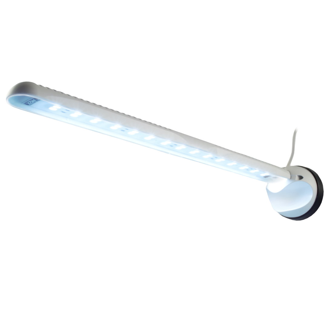LED WHITE ECO CHIC 3