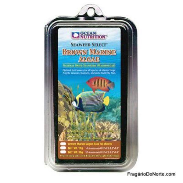 BROWN MARINE ALGAE