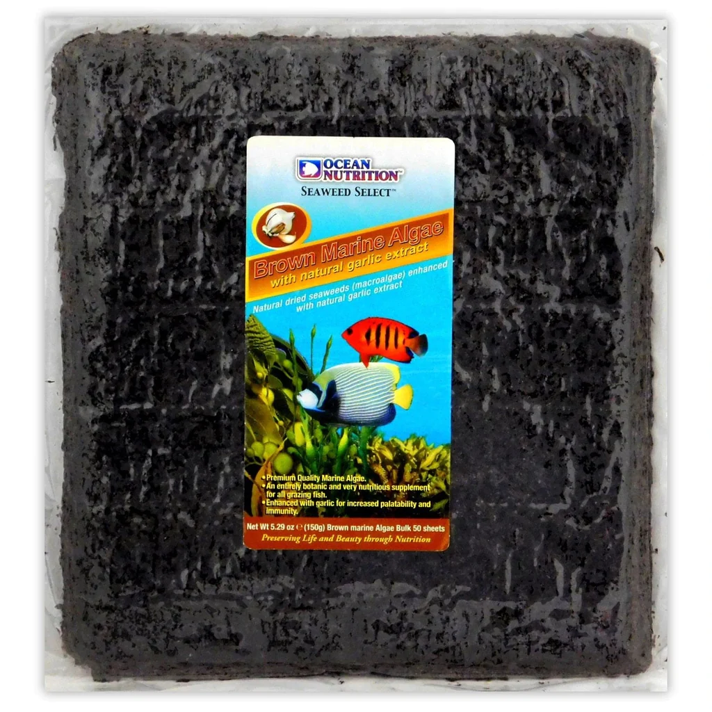 Brown Marine Algae 50 Folhas
