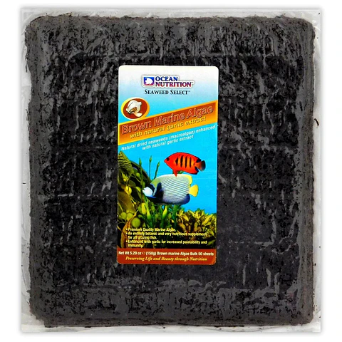 Brown Marine Algae 50 Folhas