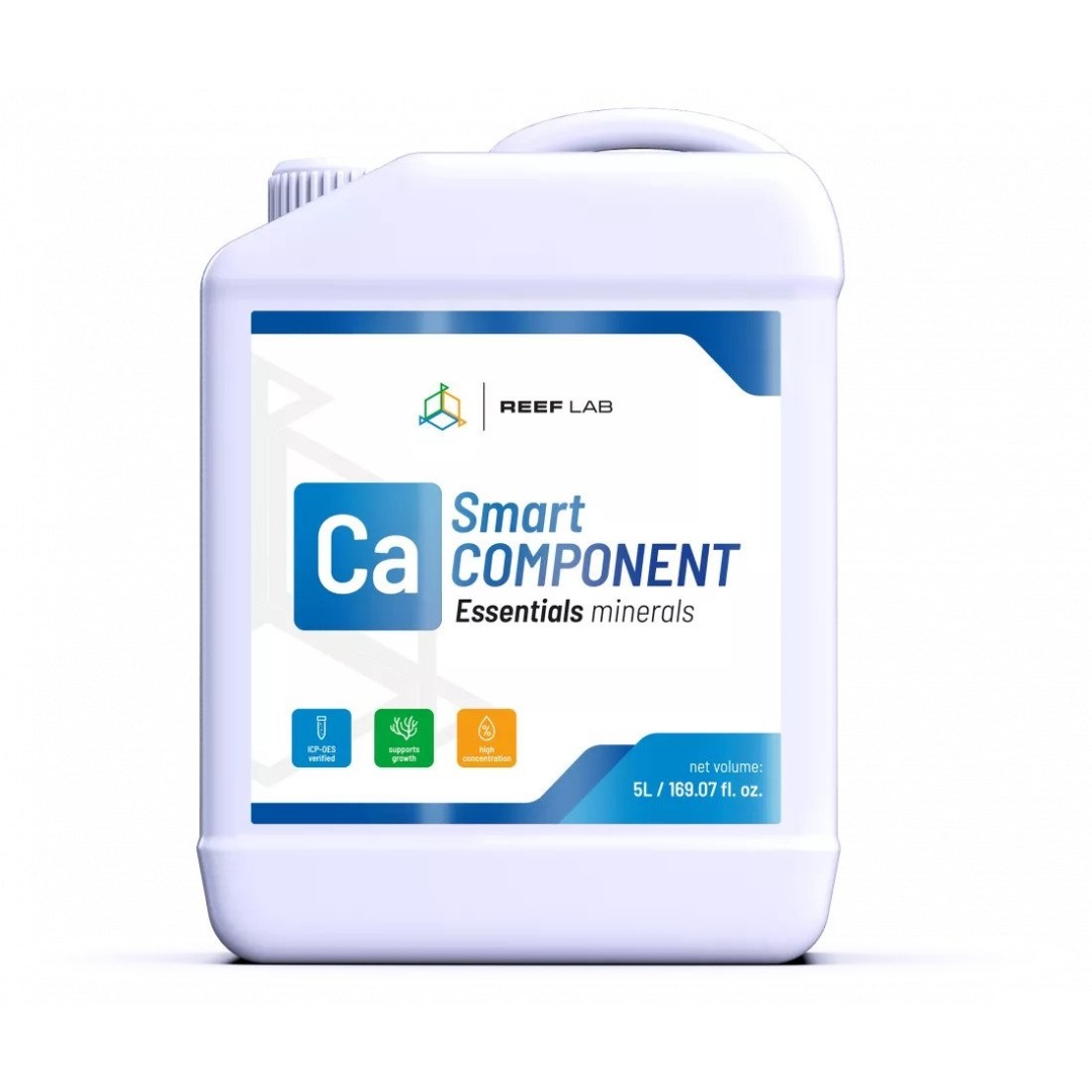 Smart Components Ca 2