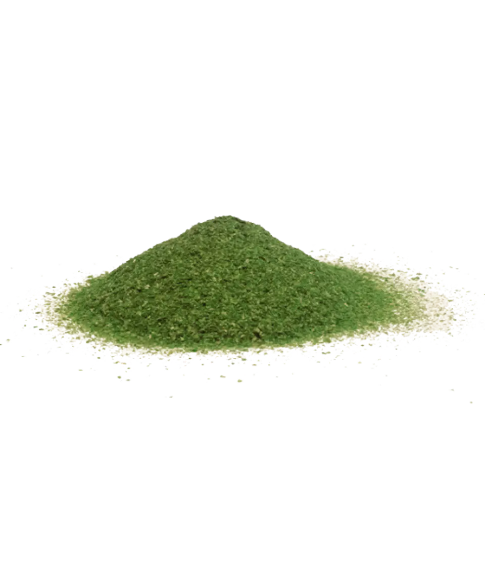 Seaweed Powder Macroalga Ulva 2