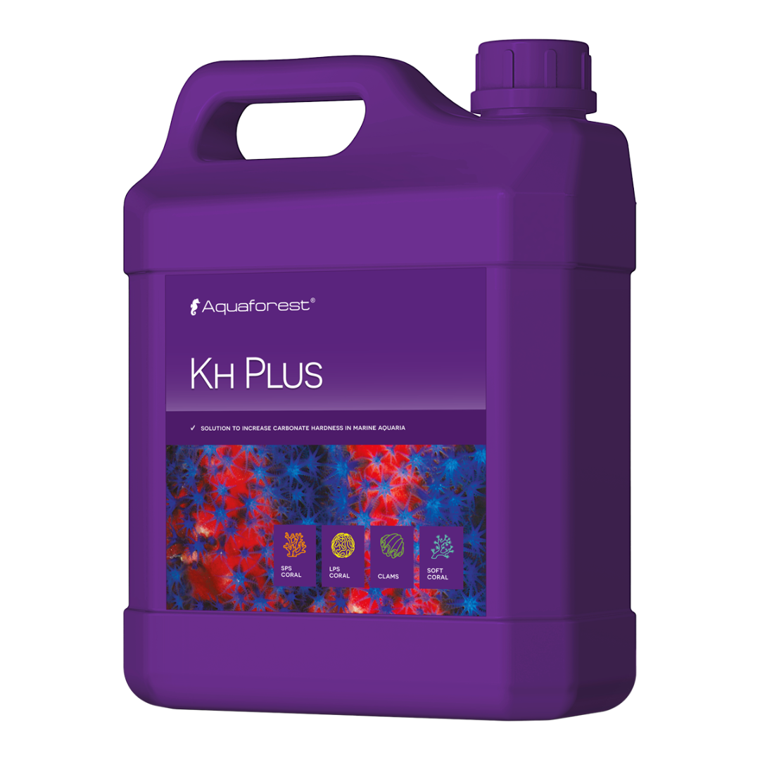 KH PLUS 2