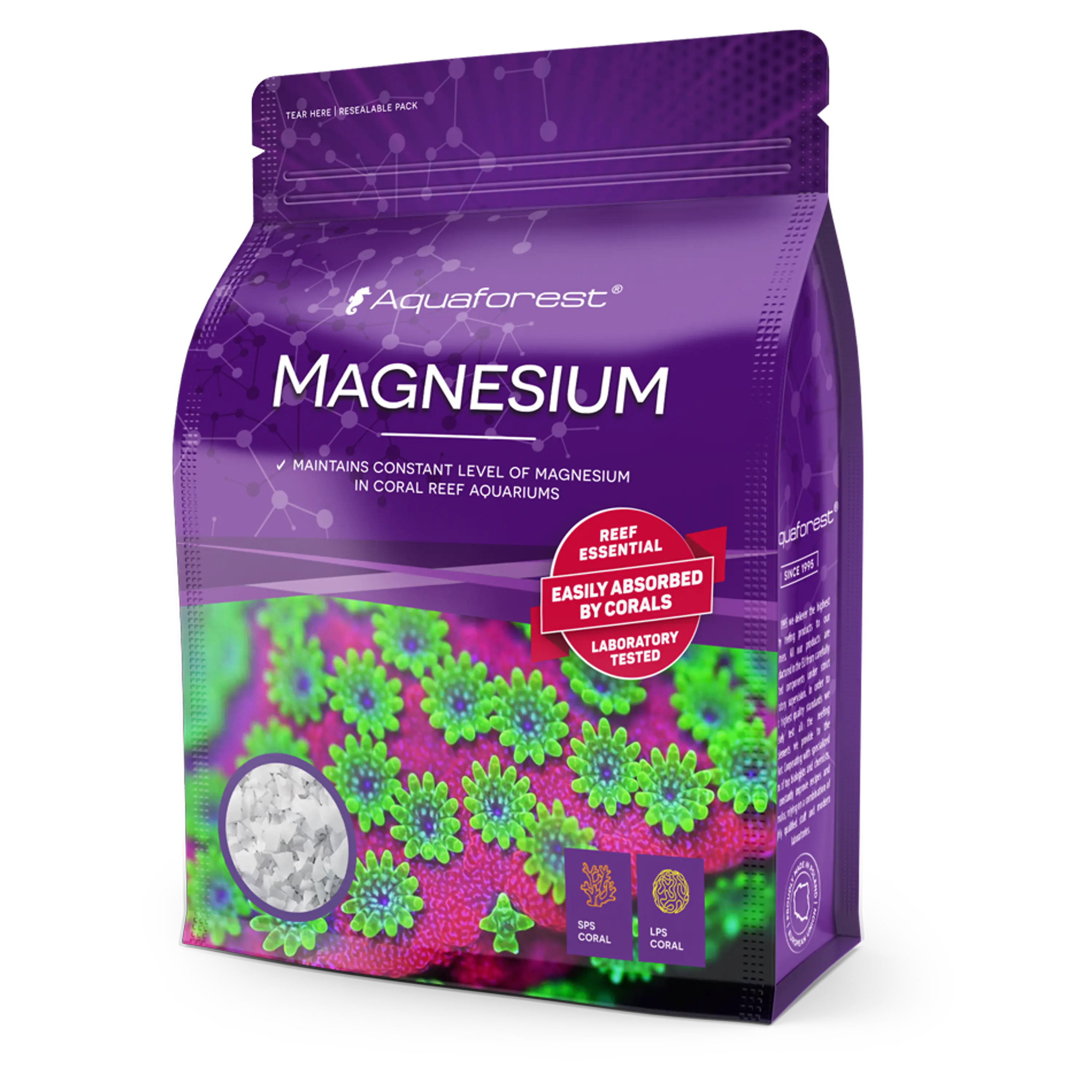 MAGNESIUM