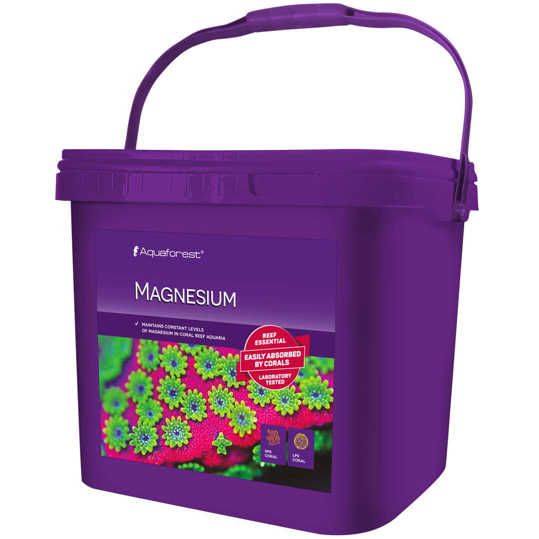 MAGNESIUM 2
