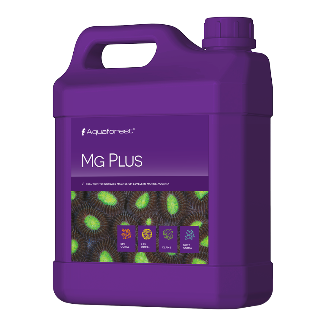 MG PLUS 2