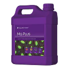 MG PLUS 2
